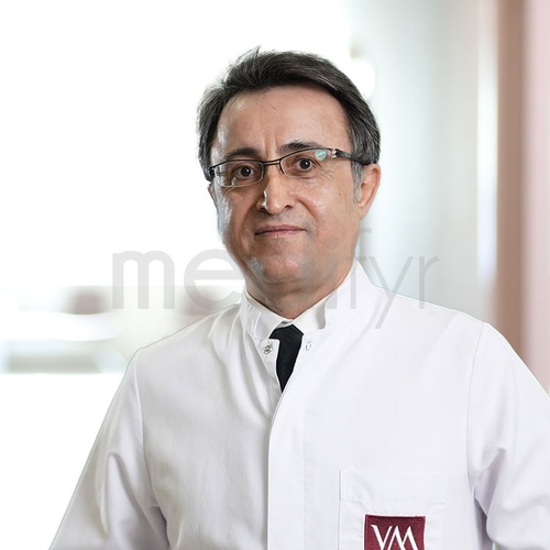 Prof. MD. Ibrahim Aliosmanoglu