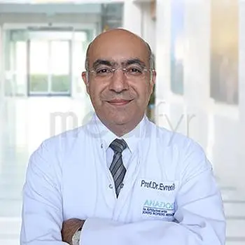 Prof. Bulent Evren Erkul