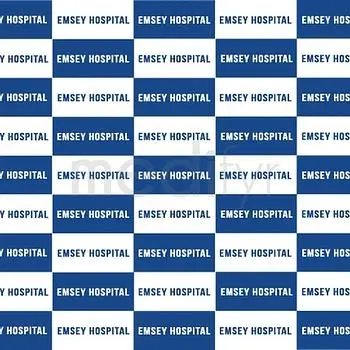 Dr. Fatma Hulya Cengiz